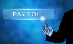 Expert-Payroll-Services